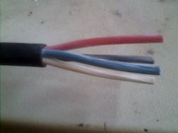 WDZ-DJYVP環(huán)保電纜 高性能電線(xiàn)電纜制造廠(chǎng)家的關(guān)鍵產(chǎn)品解析